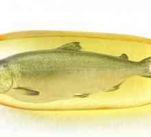 Beneficiile uleiului de pește pentru femei: recomandări, contraindicații