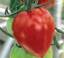 Este o tomată o boabe sau o legume?