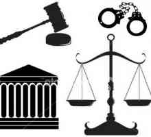 Concept și elemente ale sistemului de drept - baza științei juridice a organizării societății