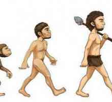 Conceptul de "evoluție" în filosofie