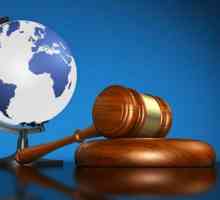 Conceptul de drept internațional. Subiectul dreptului internațional. Principii, metode și funcții…