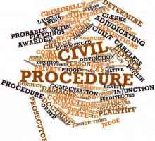 Conceptul, subiectul, formele, tipurile, problemele procesului civil. Procesul civil este ...