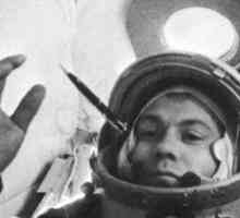 Popovich Pavel Romanovich, cosmonaut: biografie, fotografie
