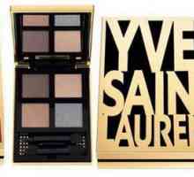 Nuantele populare ale lui Yves Saint Laurent: caracteristici, culori, prețuri și recenzii