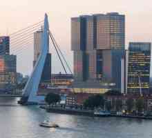 Port of Rotterdam: istorie, descriere, atracții