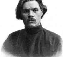 Portretul lui Maxim Gorky. Valentin Serov
