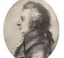 Portretul lui Mozart - geniul frumuseții pure