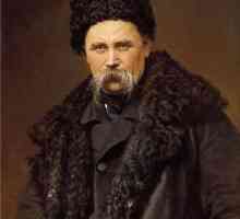 Portretul lui Shevchenko - faimosul poet și artist
