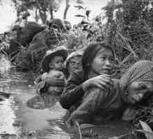 Pierderile SUA în Vietnam: pe an