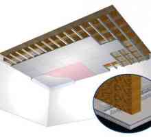Plafoanele din gips carton în dormitor: caracteristici de design