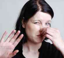 Este adevărat că forma nasului afectează în mod direct succesul unei persoane?