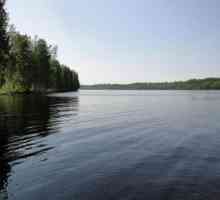 Lacul Pravdinskoe: descriere, pescuit, fotografie