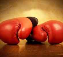 Reguli de box: profesionisti si amatori