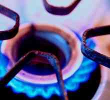 Regulile pentru instalarea unui contor de gaz în apartament. Cerințe pentru instalarea unui contor…