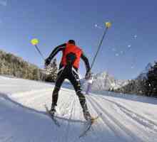 Pregătirea corectă a schiurilor pentru competiții
