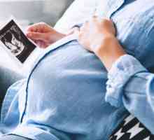 Screening-ul prenatal: tipurile, modul în care se efectuează, ce riscuri sunt calculate