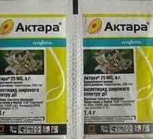 Medicamentul "Aktar". Instrucțiuni de utilizare