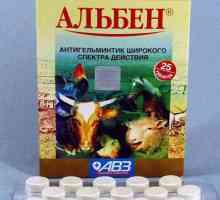 Medicamentul "Alben" în medicina veterinară: instrucțiuni de utilizare, indicații