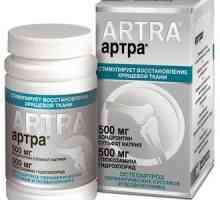 Medicamentul "Arthra": instrucțiuni de utilizare