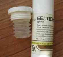 Medicamentul "Belloid": instrucțiuni de utilizare, indicații