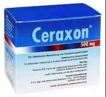 Medicamentul "Ceraxon" (soluție pentru administrare orală). Instrucțiuni de utilizare…
