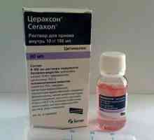 Medicamentul "Ceraxon" la copil: recenzii