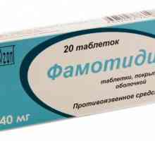 Medicamentul "Famotidine": indicații pentru utilizare, instrucțiuni, descriere și recenzii