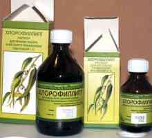Medicamentul "clorofillipt" din nas. Soluție de ulei "Chlorofilip" în nas:…