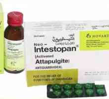 Pregătirea "Instopan": instrucțiuni de utilizare