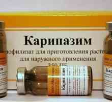 Drogul "Karipazim". Electroforeza - ce este?