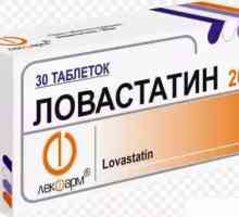 Medicamentul "Lovastatin": instrucțiuni de utilizare, analogi, descriere, compoziție și…