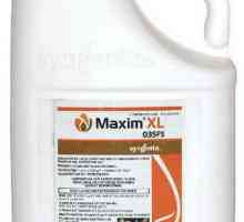 Medicamentul "Maxim", agent de pansament pentru semințe: instrucțiuni de utilizare