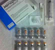Medicamentul "Menopur": feedback și rezultate, instrucțiuni de utilizare și descriere