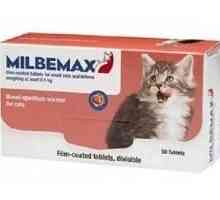 Medicamentul "Milbemax": instrucțiuni de utilizare, indicații pentru câini