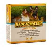 Medicamentul "Neostomozan": instrucțiuni de utilizare, doze