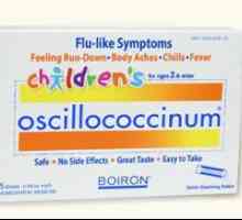 Oscilococcin: analog. Cum pot înlocui oscilococcinul?