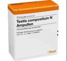 Medicamentul "Testis compositum": recenzii, instrucțiuni privind utilizarea