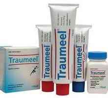 Medicamentul "Traumeel" (unguent). Instrucțiuni de utilizare