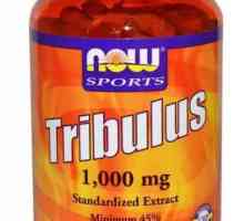 De droguri `Tribulus`: cum să ia, compoziția, caracteristicile și recenzii