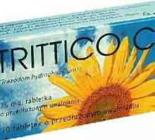 Medicamentul "Trittico": feedback pacient, instrucțiuni de utilizare, analogi