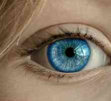 Presbiopia este o anomalie a refracției ochiului. Presbiopia: cauze, simptome, diagnostic și…