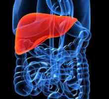 Când boala hepatică vă poate mânca ficatul: proprietăți utile, recomandări ale specialiștilor și…