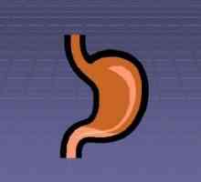 Cauze și simptome de gastrită atrofică