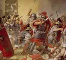 Cauzele crizei Imperiului Roman în secolul al III-lea. Declinul Imperiului Roman
