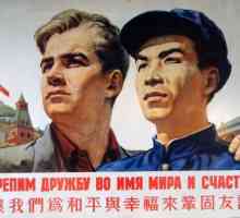 Motivele dezbinării sovieto-chineze. Istoria relațiilor sovieto-chineze