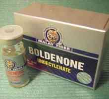 Recepția "Boldenon": recenzii, curs de masă, efecte secundare