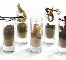 Aplicarea pulberilor de alge. Algele marine în cosmetologie și culinare