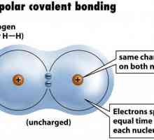 Un exemplu de legătură covalentă nepolară. Legătura covalentă este polară și nepolară