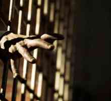Acordarea pedepsei cu închisoarea pe viață. Codul penal al Federației Ruse