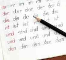 Pronumele posesive în limba germană și utilizarea lor competentă